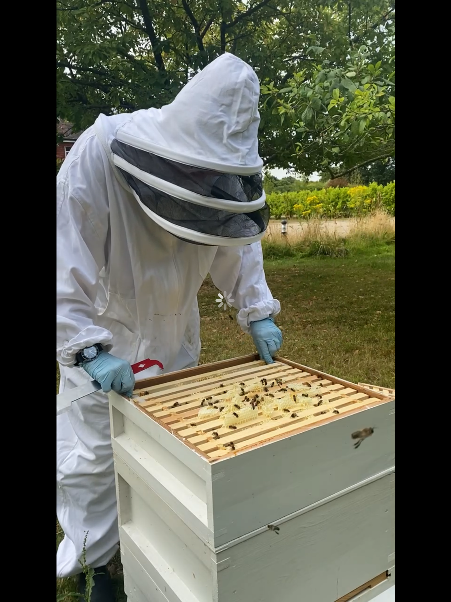 Bee keeping taster day